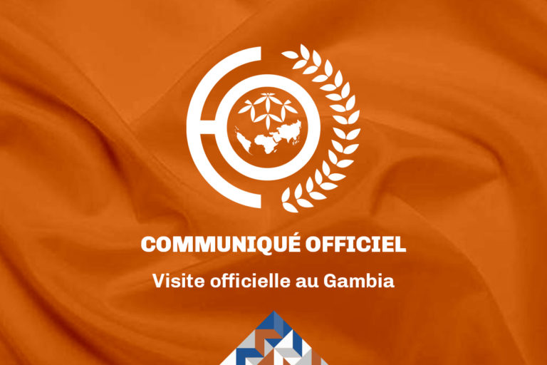 visita-oficial-gambia-FRA